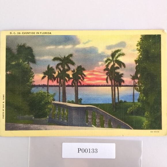 Vintage Other - Vintage Florida Linen Postcard Eventide Sunset Palm Trees 1942 Ray B Dame Photo